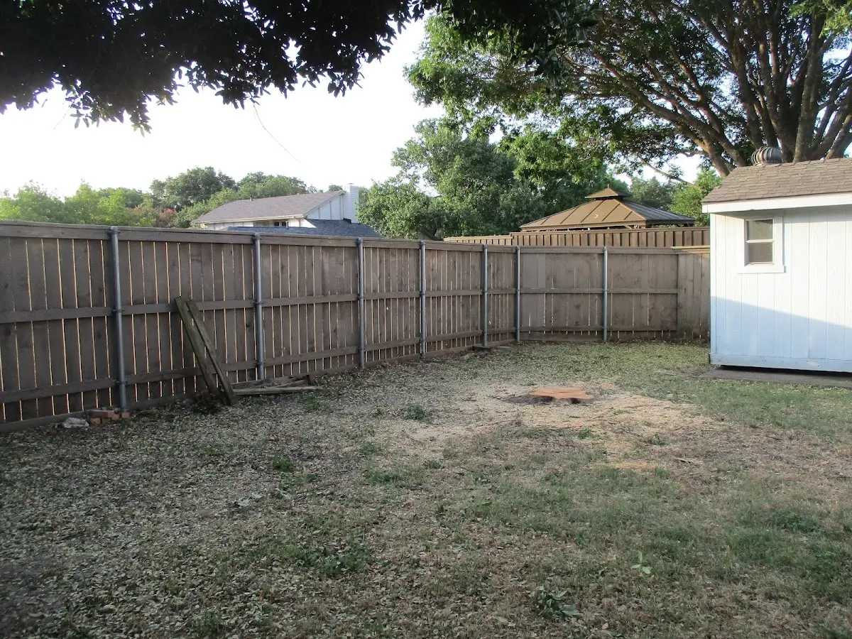 Cleared yard after professional tree removal in Maple Hill